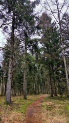 Wandelroute Valtherspaan