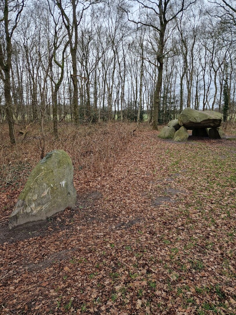 Wandelen bij de Hondsrug