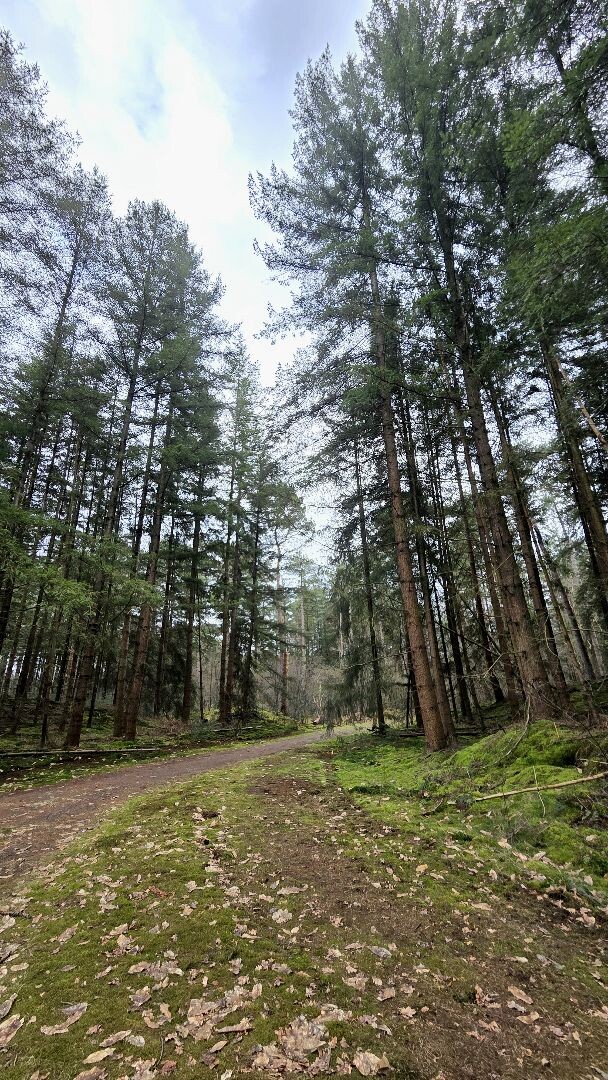 Wandelroute Steile Oever (blauw)