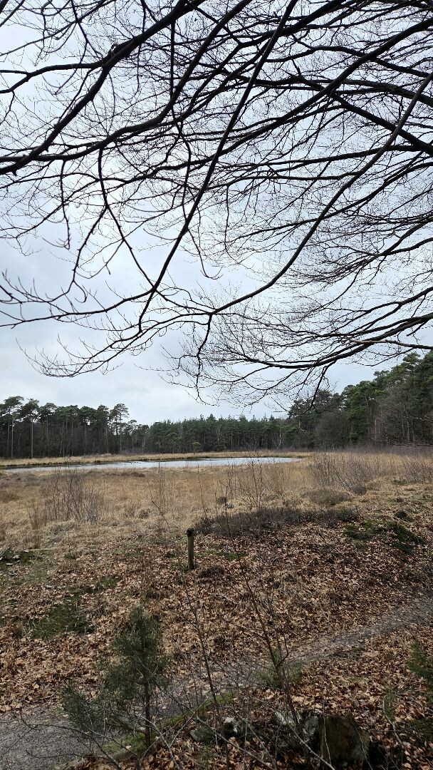 Wandelroute Steile Oever (blauw)