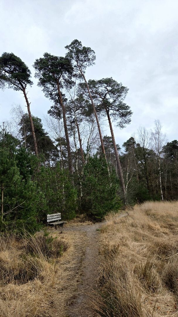 Wandelroute Steile Oever (blauw)