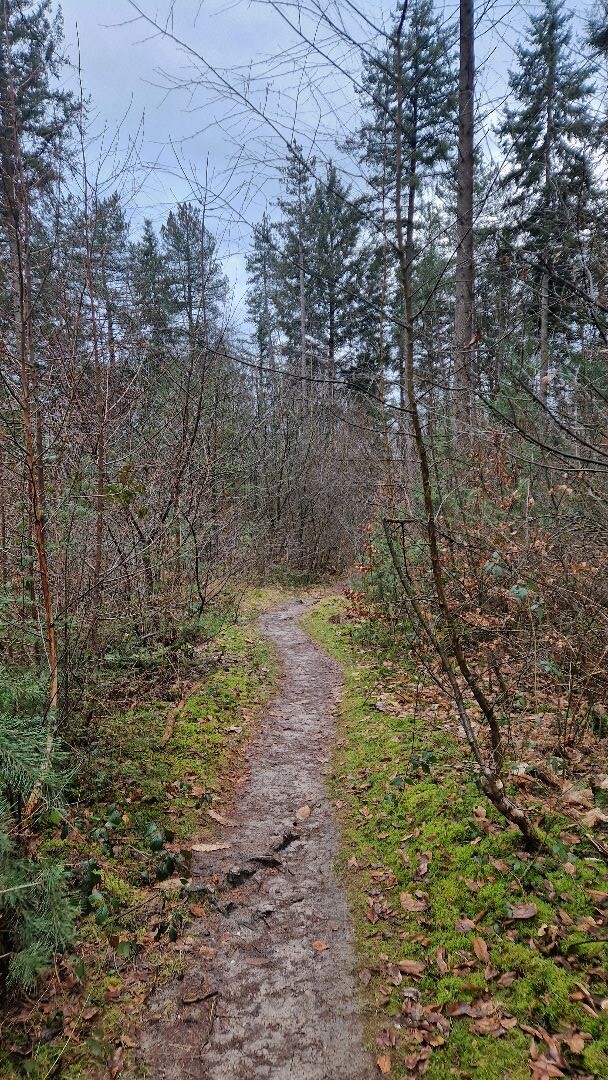 Ondanks het weer toch een lekkere wandeling