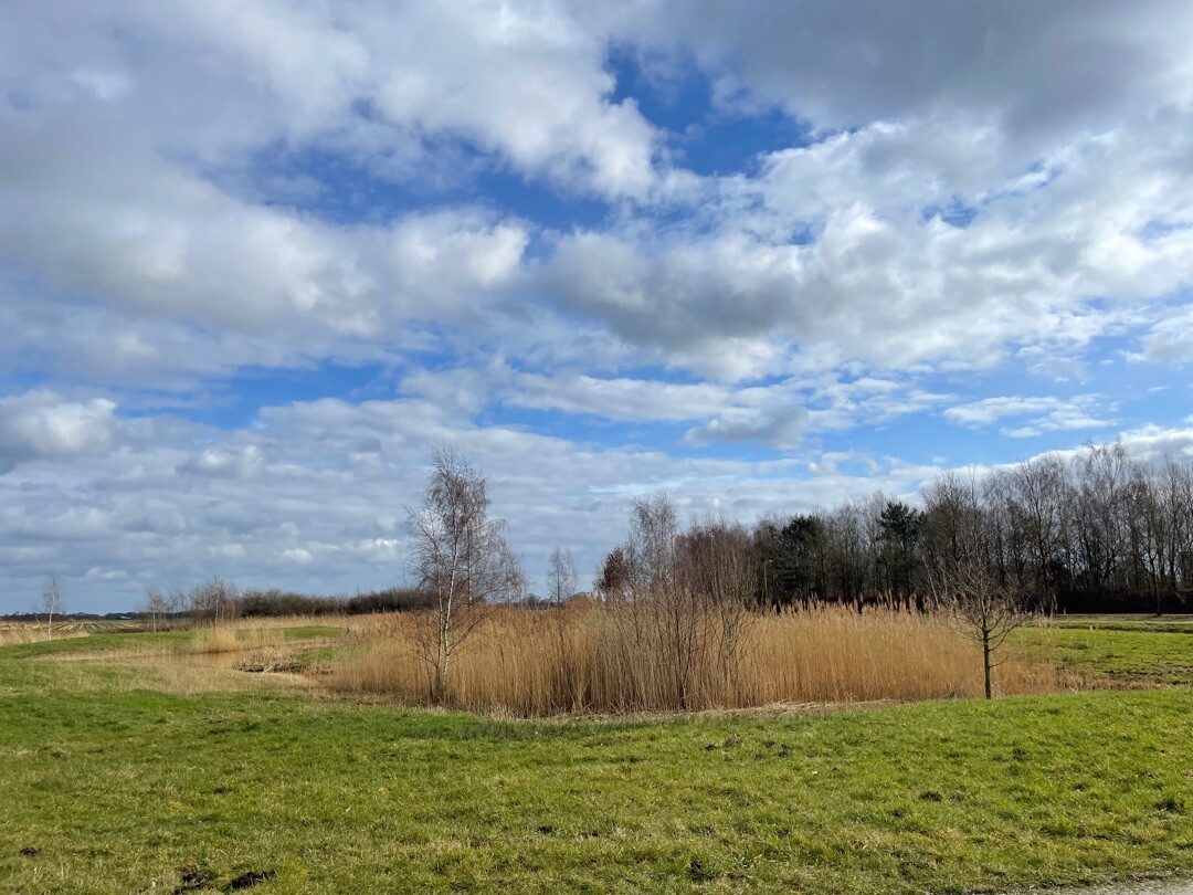 Wandeling vanuit het Center Parcs park " De Huttenheugte", Dalen