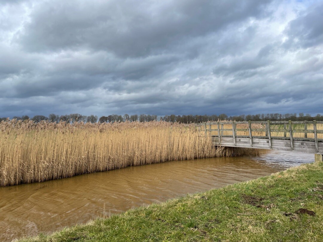 Wandeling vanuit het Center Parcs park " De Huttenheugte", Dalen