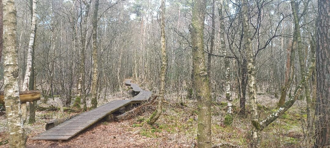 Enschede  - Haaksbergen, Buurserstraat · Noaberpad etappe 14