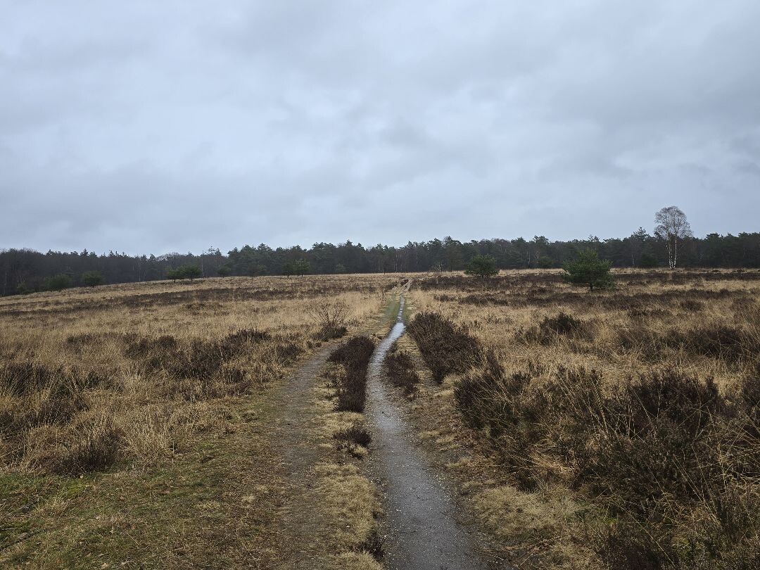 Plaggenstekerspad Hoenderloo