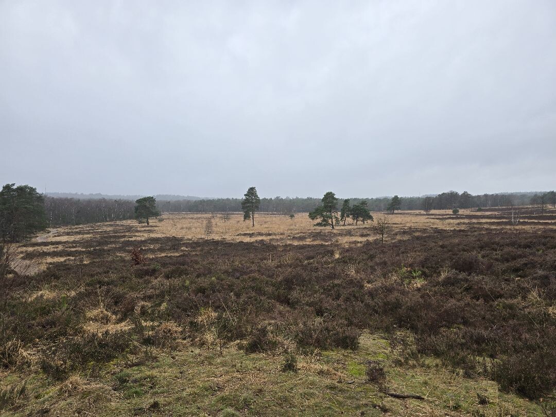 Plaggenstekerspad Hoenderloo