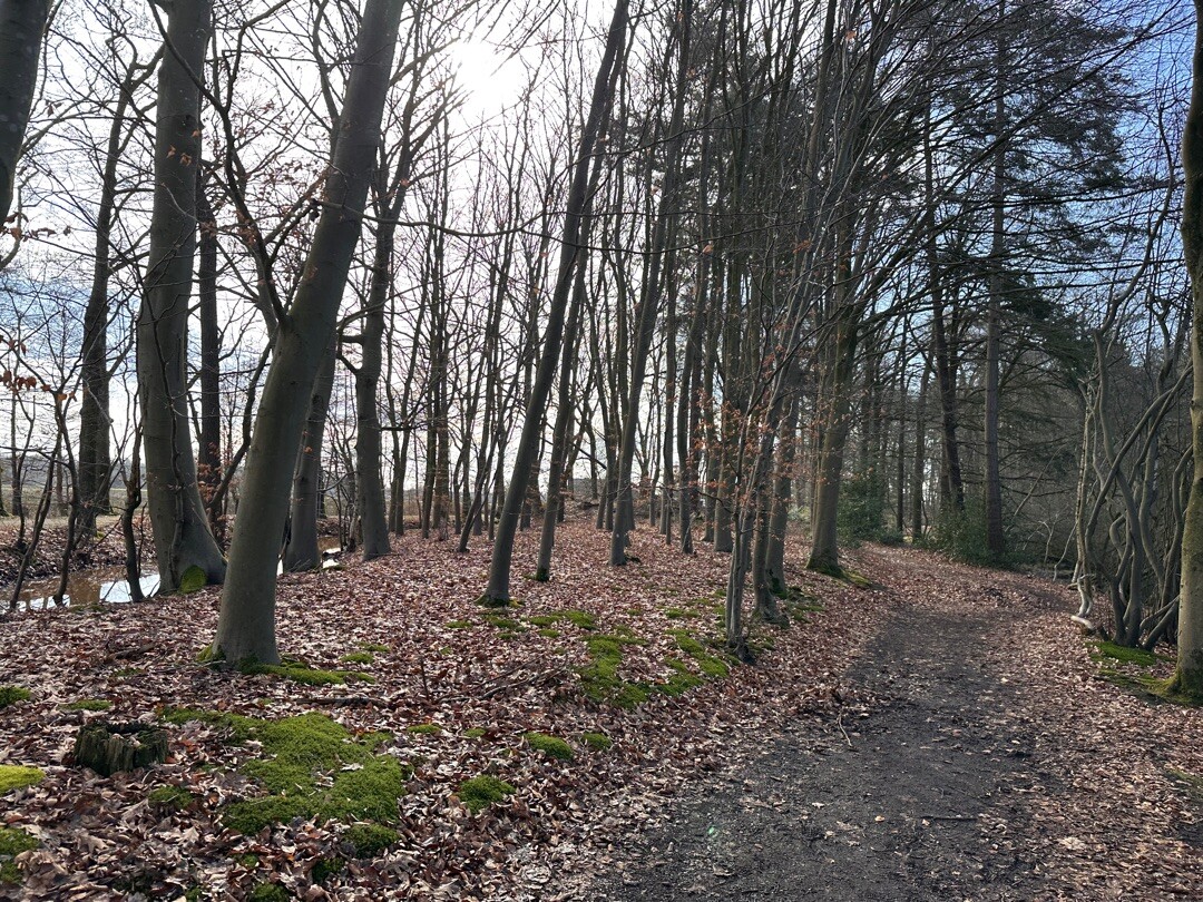 De rode route met Jolie