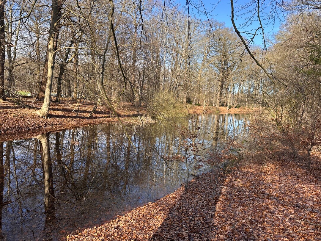 De rode route met Jolie