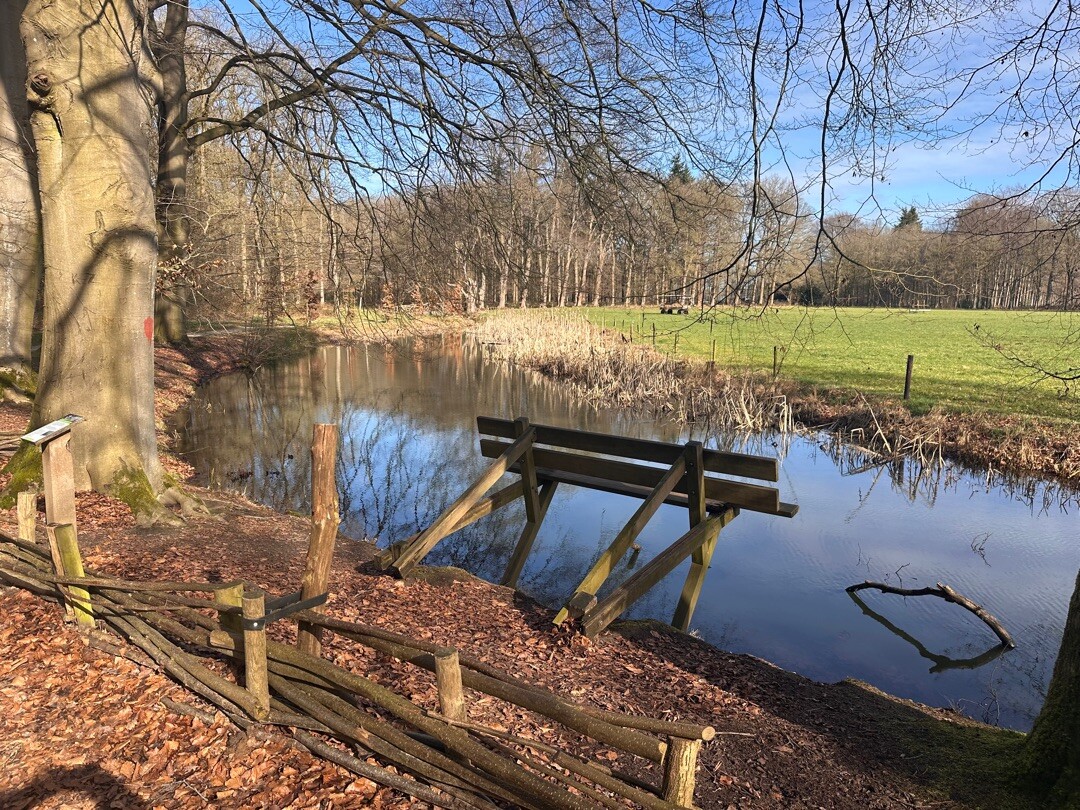 De rode route met Jolie