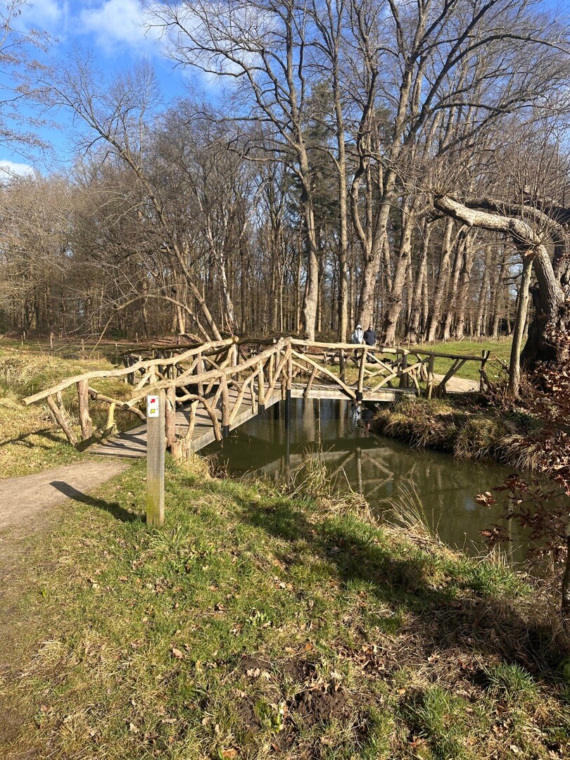 De rode route met Jolie