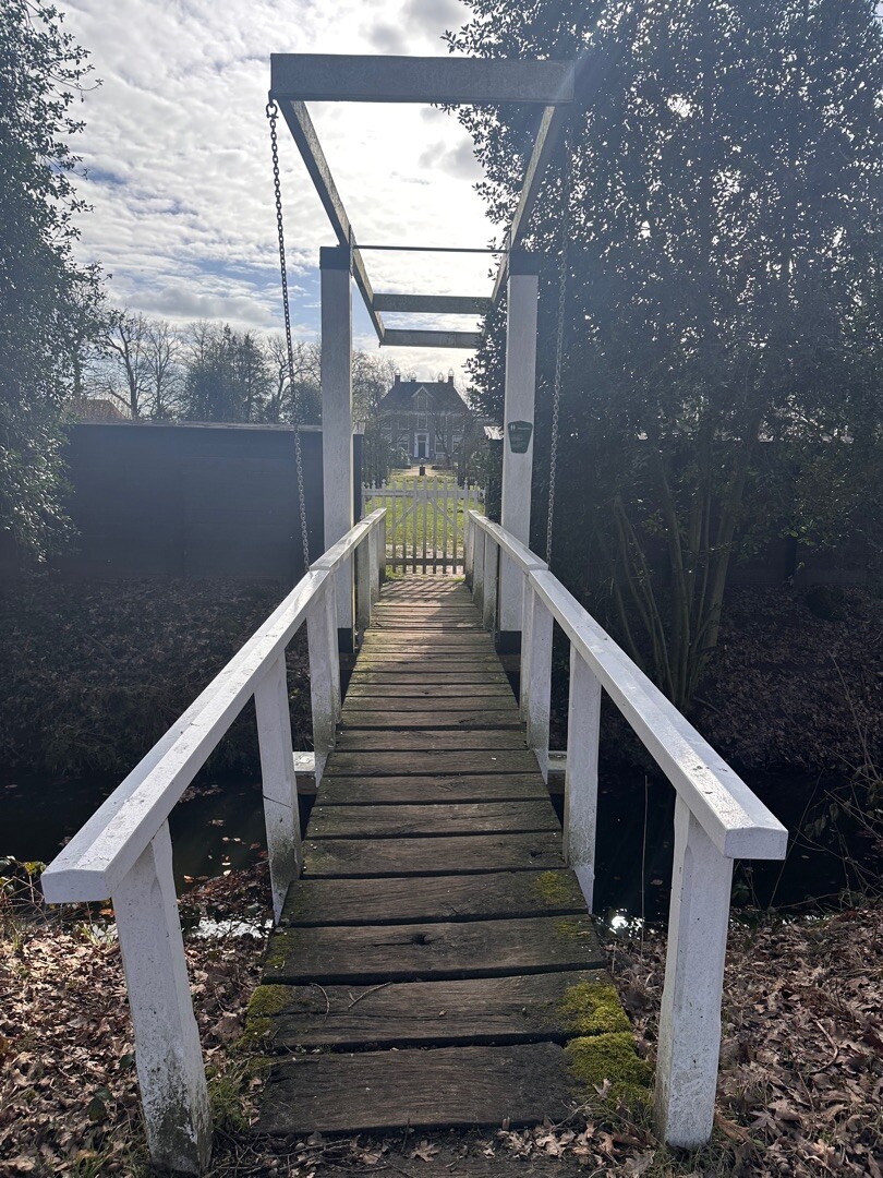 De rode route met Jolie