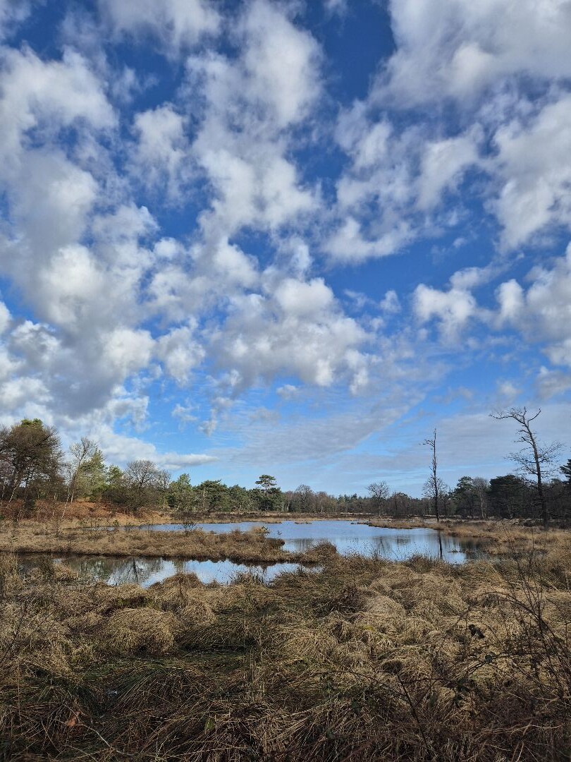 Den Treek - Henschoten
