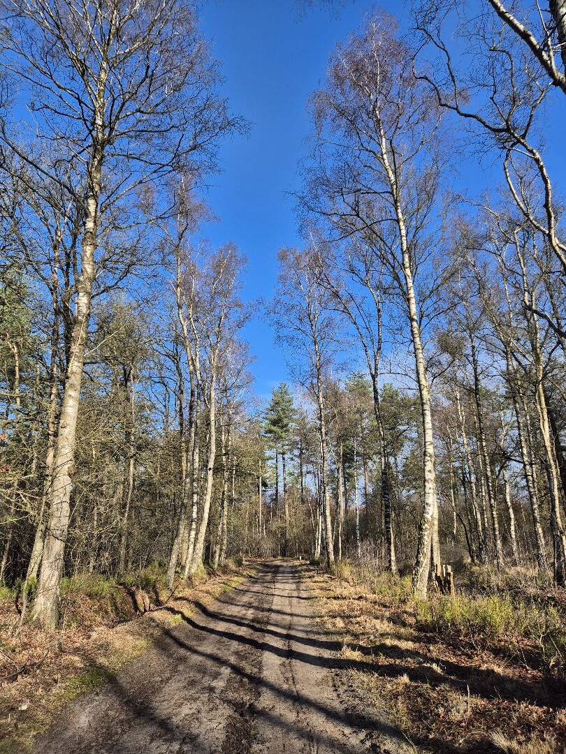 Den Treek - Henschoten