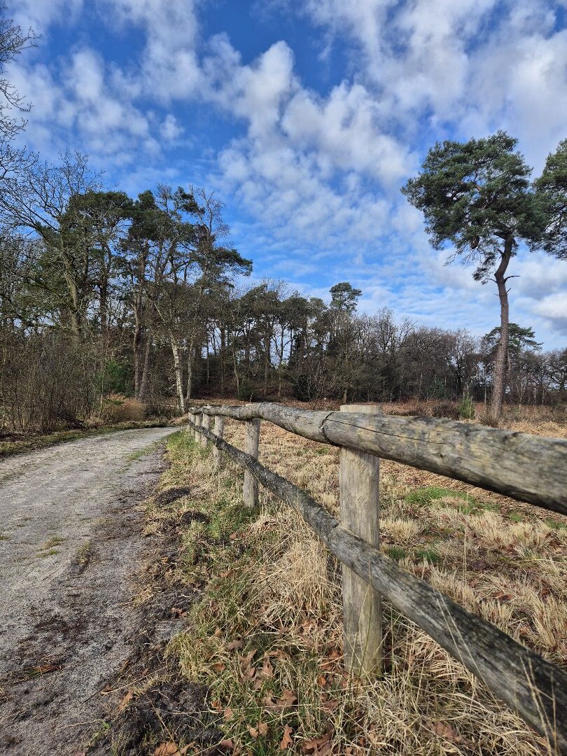Den Treek - Henschoten