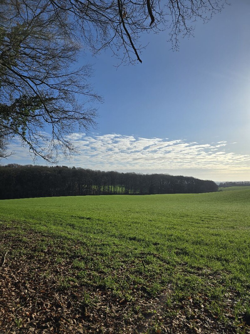 N70 hike in zomerse omstandigheden