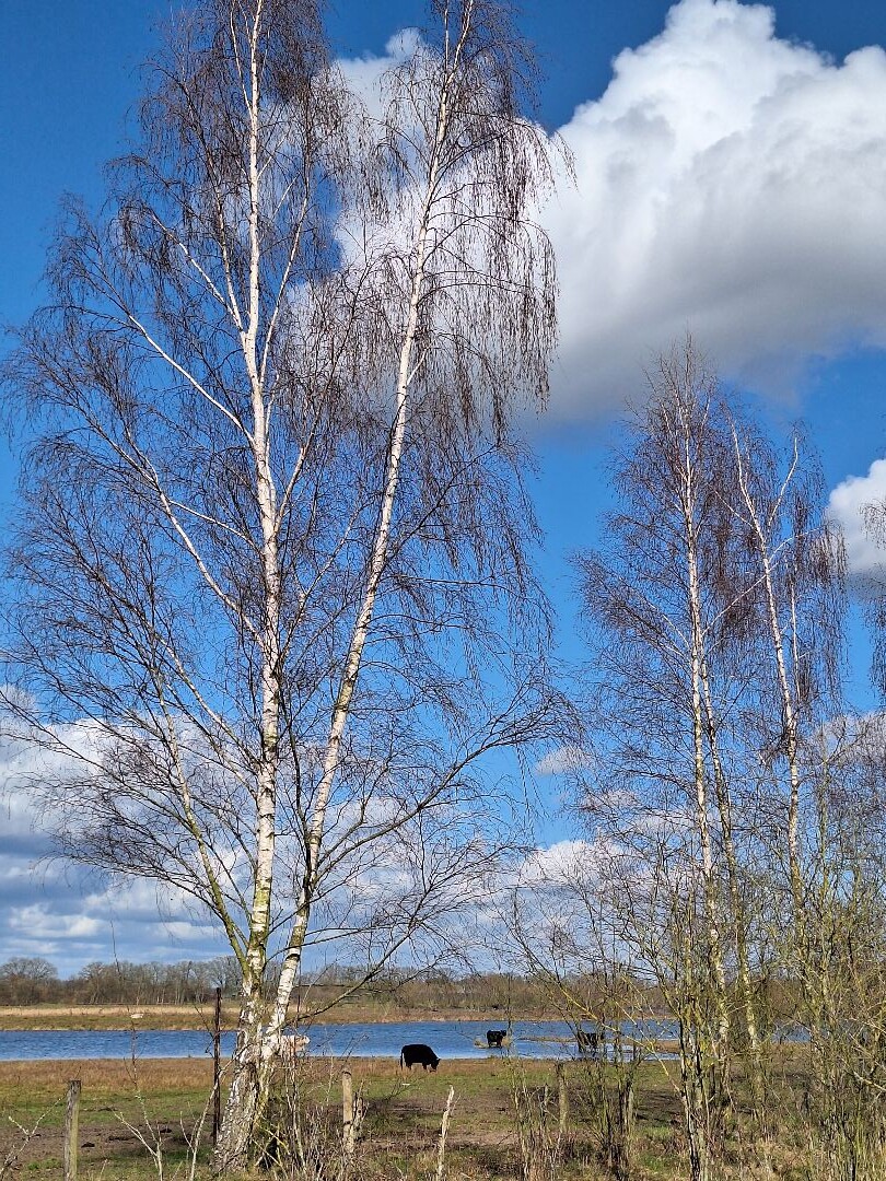 Venlo - Swalmen · Pieterpad etappe 22