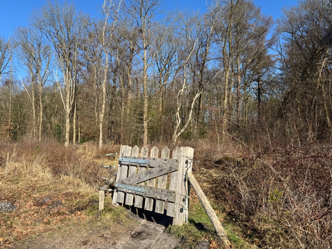 Wandelroute Noordlaarderbos en de Vijftig Bunder, vlakbij de Hondsrug (Drenthe)