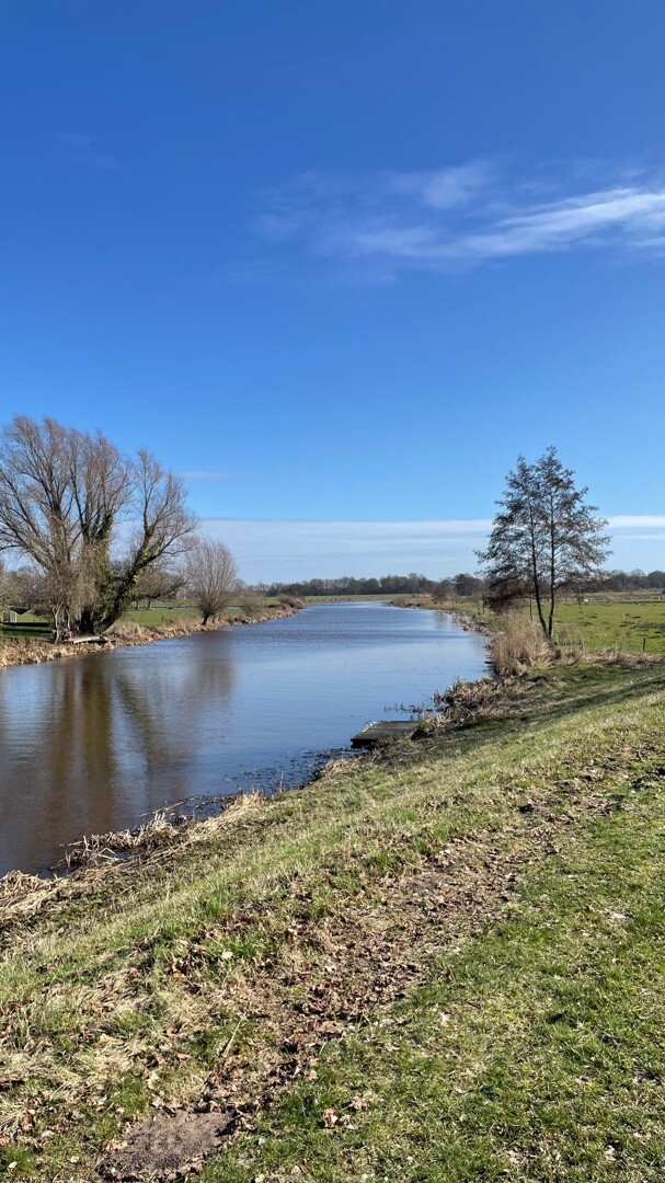 Holthemerbroek - Geel