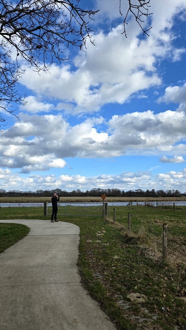 Rheezerbelten (groen)