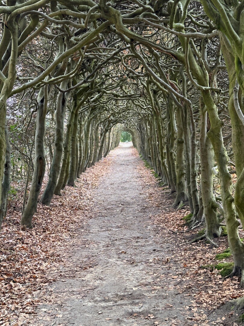 Peizermade - Glimmen · Drenthepad etappe 9