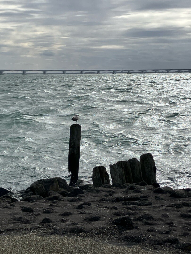Hardlooproute Levensstrijd: ‘langs water en land’, Zeeland