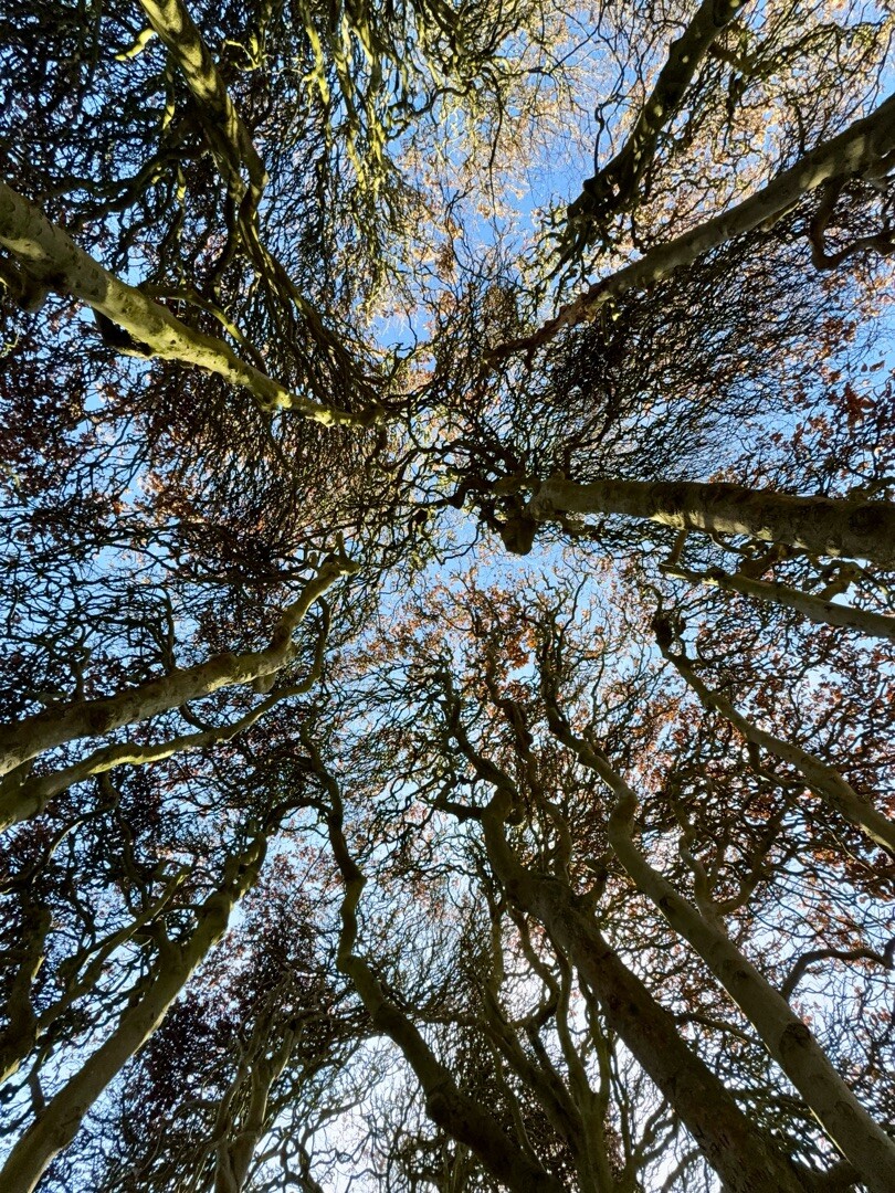 Heelsum - Oosterbeek · Maarten van Rossumpad etappe 9