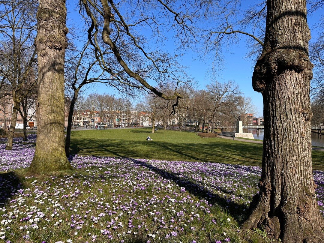 Bloemrijke lunchwandeling