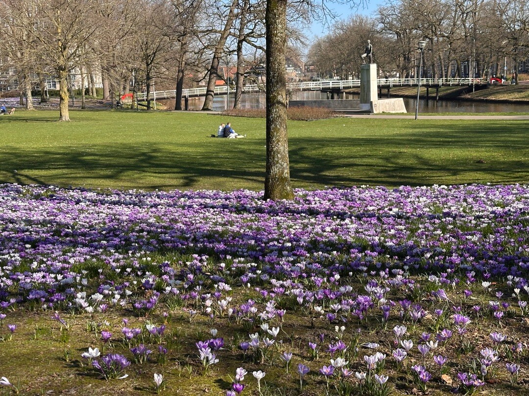 Bloemrijke lunchwandeling