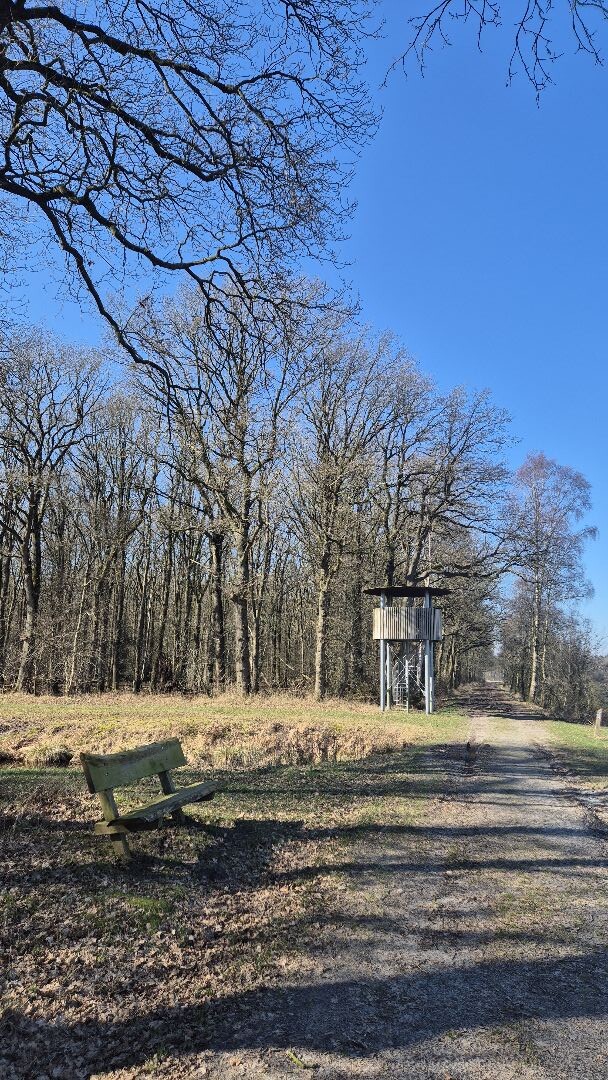 Wandeling Compagnonsbossen Ravenswoud