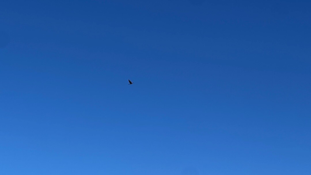 Hellendoorn - Oranje