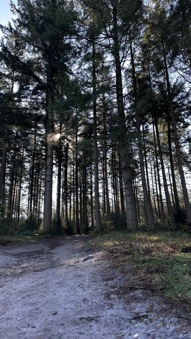 Lemelerberg - Oranje