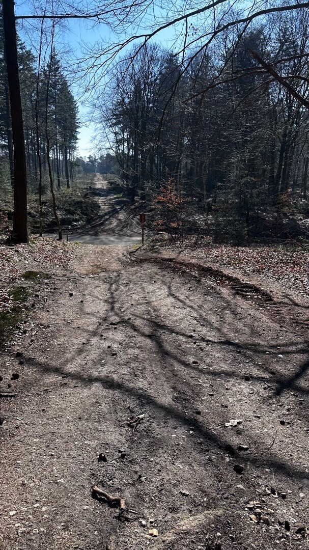 Pieterpad etappe 10 Ommen-Hellendoorn