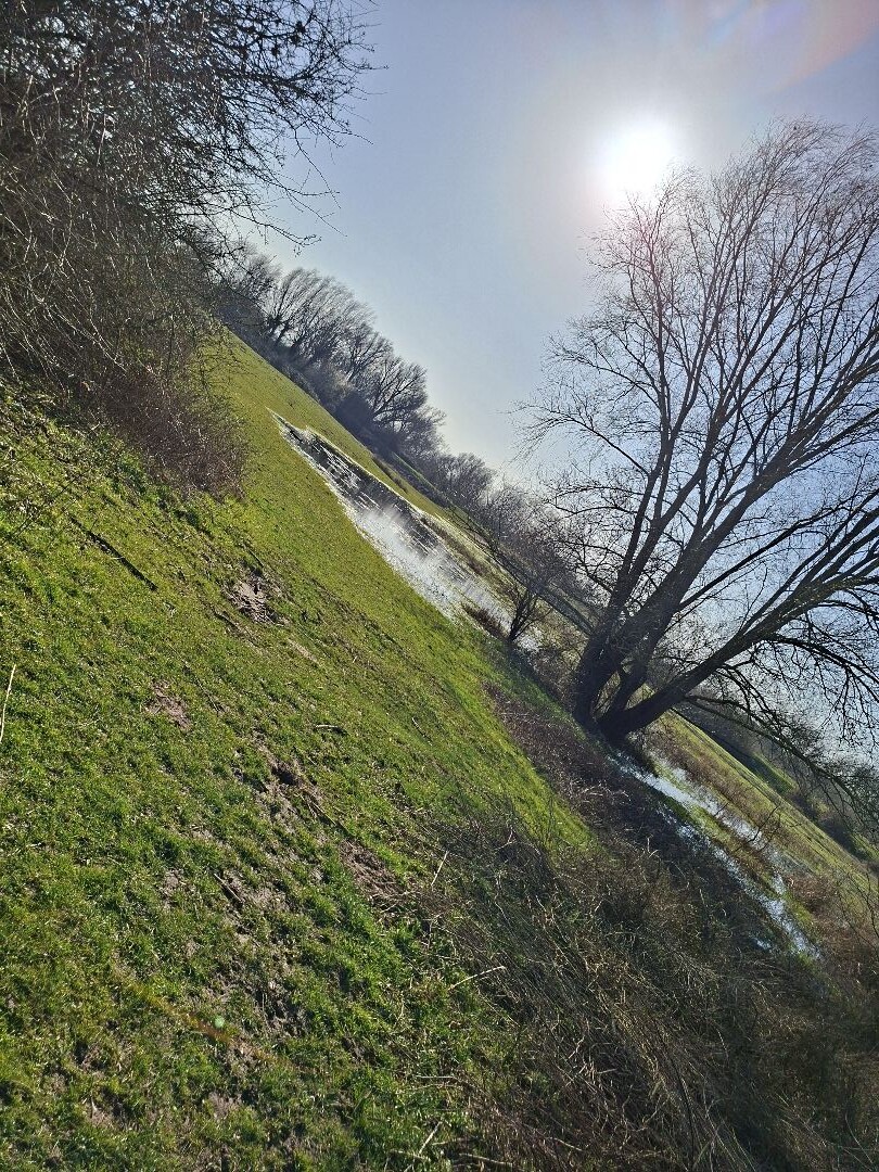 (Deel van) het Maarten v Rossumpad