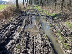 Amerongen - Renswoude · Utrechtpad etappe 5
