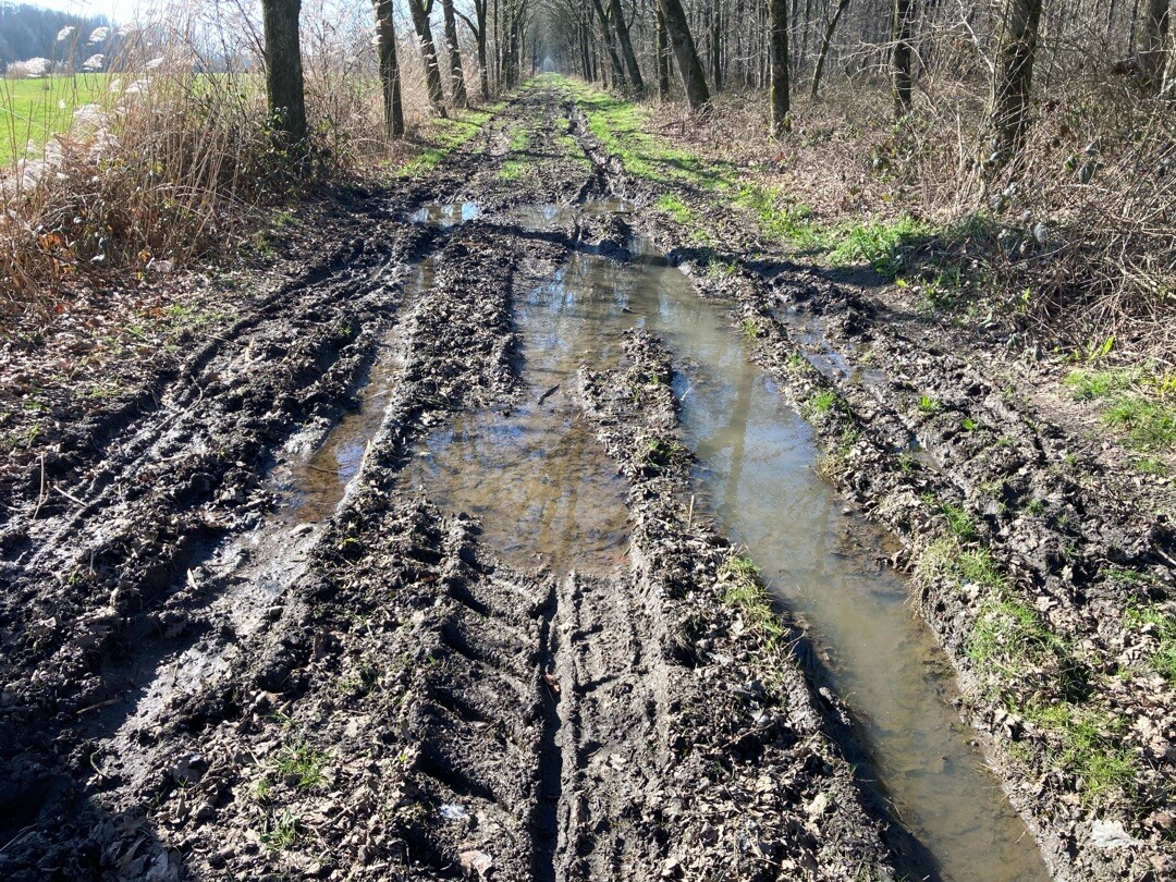 Amerongen - Renswoude · Utrechtpad etappe 5