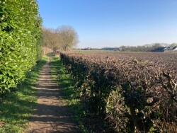 Amerongen - Renswoude · Utrechtpad etappe 5