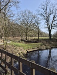 Wandeling compagnonsbossen 5km