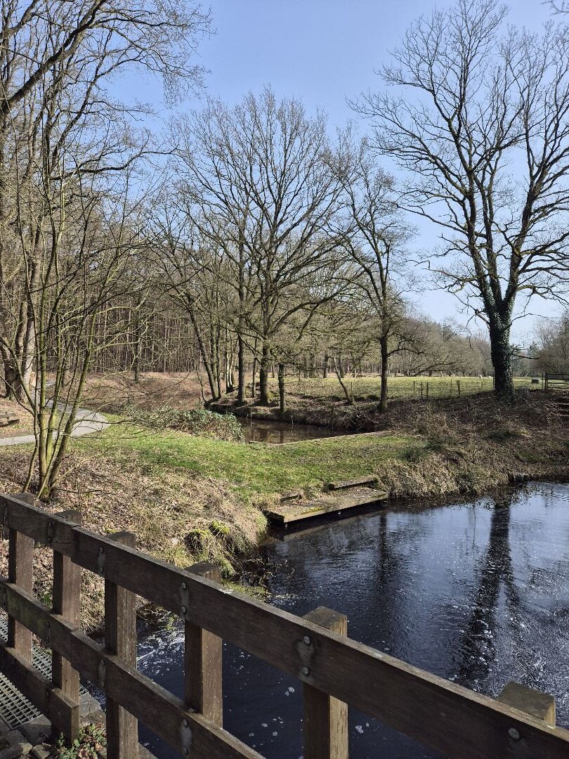 Wandeling compagnonsbossen 5km