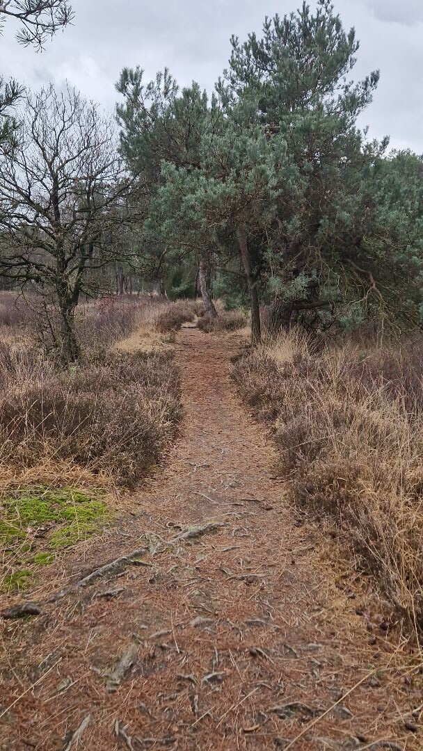 Mooi Achterhoek, Rietmolen