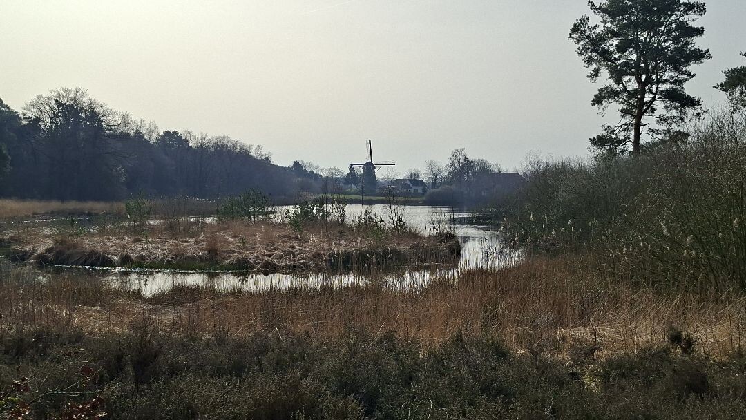 Hernen - Ravenstein · Roots Natuurpad etappe 25