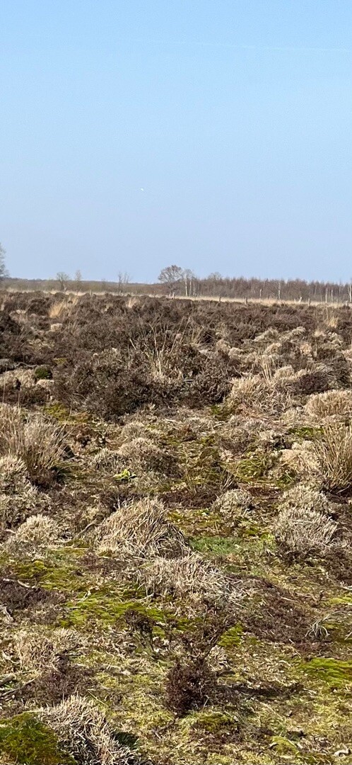 Nieuw-Dordrecht - Weiteveen · Noaberpad etappe 7