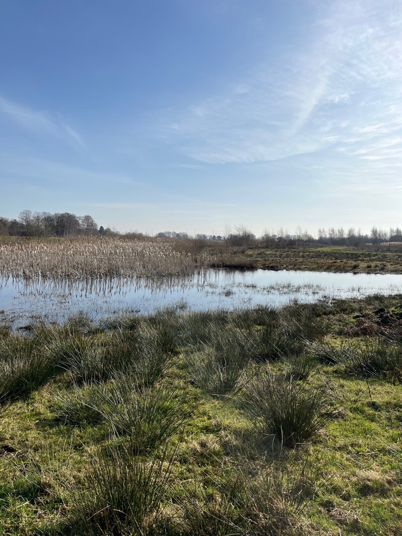 Nieuw-Dordrecht - Weiteveen · Noaberpad etappe 7