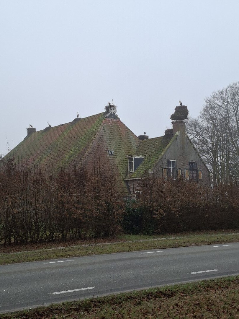 Lippenhuizen - Tijnje · Koningspad XL etappe 4