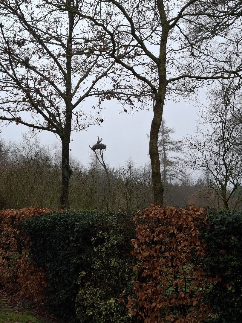 Lippenhuizen - Tijnje · Koningspad XL etappe 4