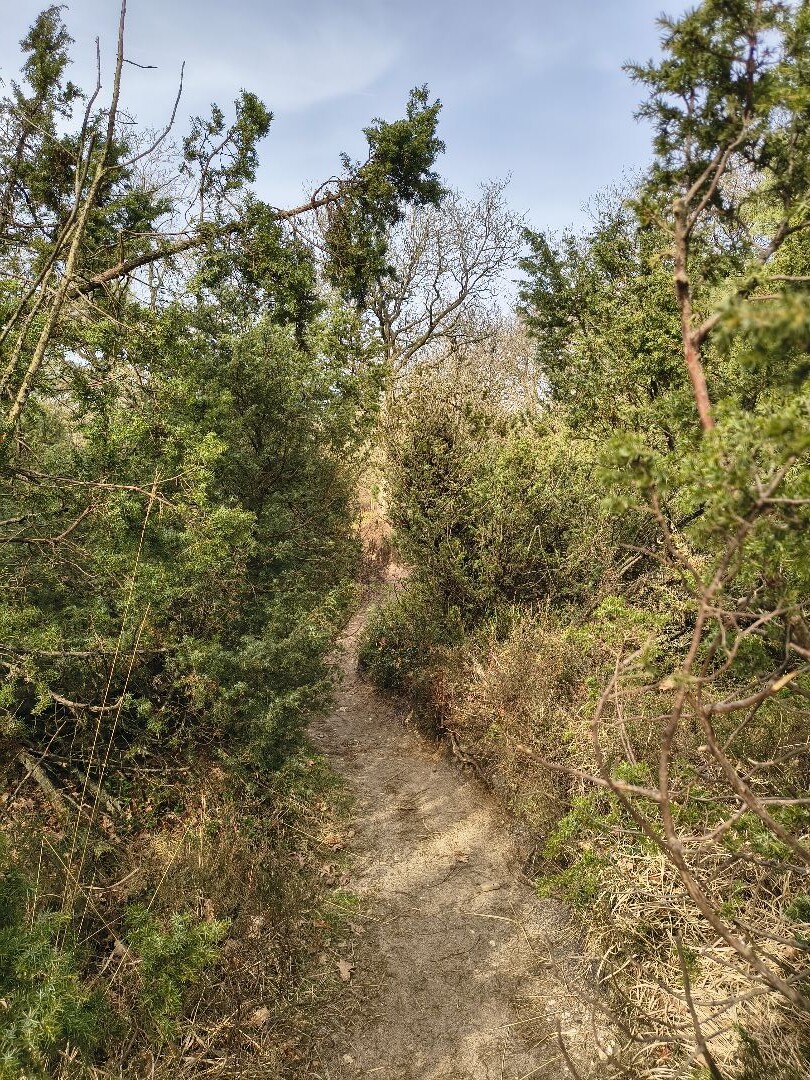 Noetselerberg Geel