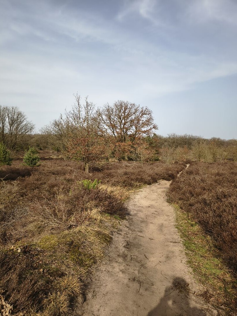 Noetselerberg Geel