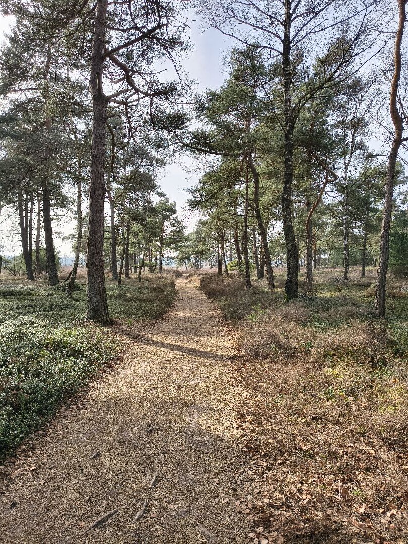 Noetselerberg Geel