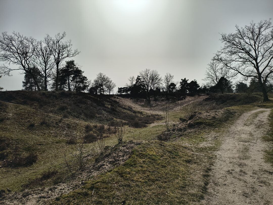 Noetselerberg Geel