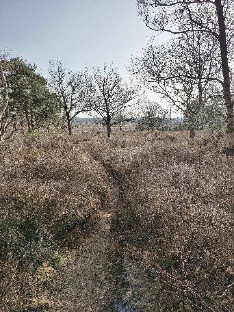 Noetselerberg Geel